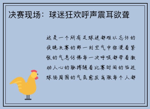 决赛现场：球迷狂欢呼声震耳欲聋