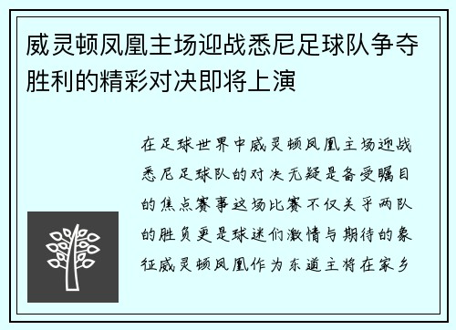 威灵顿凤凰主场迎战悉尼足球队争夺胜利的精彩对决即将上演